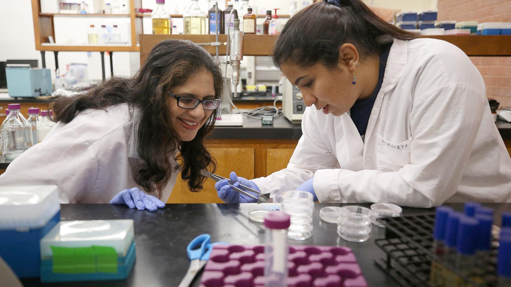 UA researcher part of team effort to remove icky germs from produce